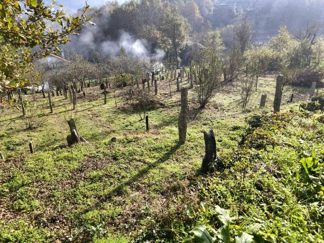 Terreno en Venta en Mondariz Balneario