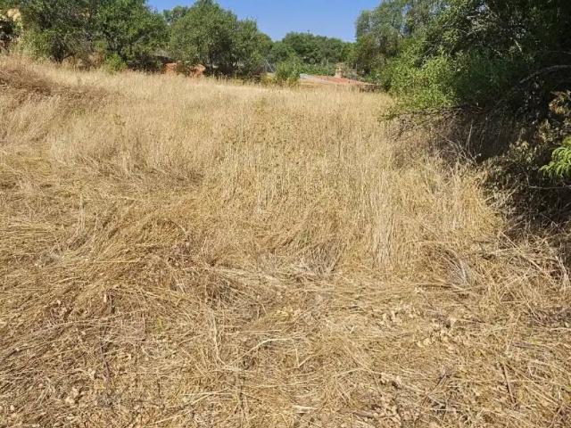 Terreno en Venta en Mondéjar