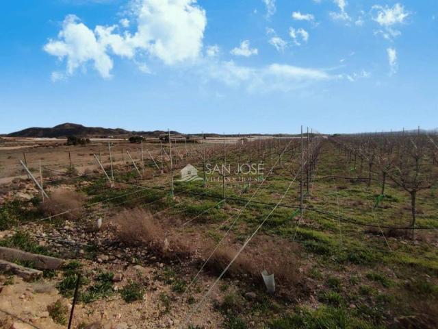 Terreno en Venta en Monforte del Cid