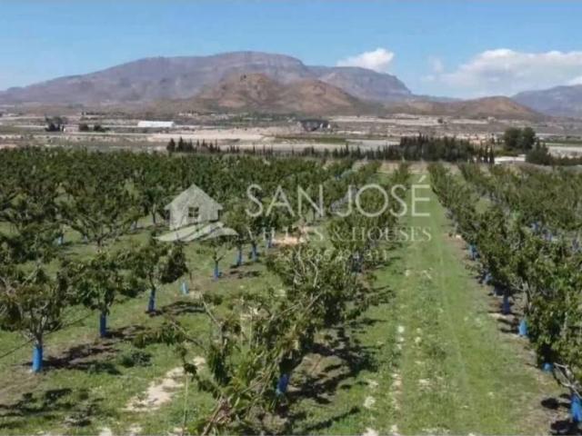 Terreno en Venta en Monforte del Cid