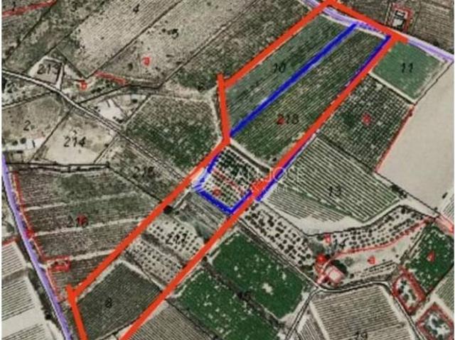Terreno en Venta en Monforte del Cid