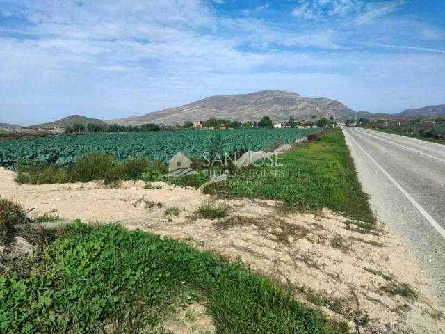 Terreno en Venta en Monforte del Cid