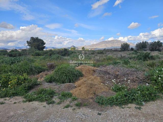 Terreno en Venta en Monforte del Cid