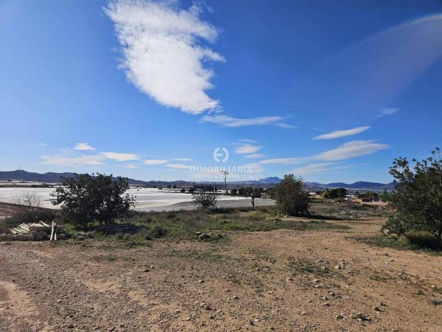 Terreno en Venta en Monforte del Cid