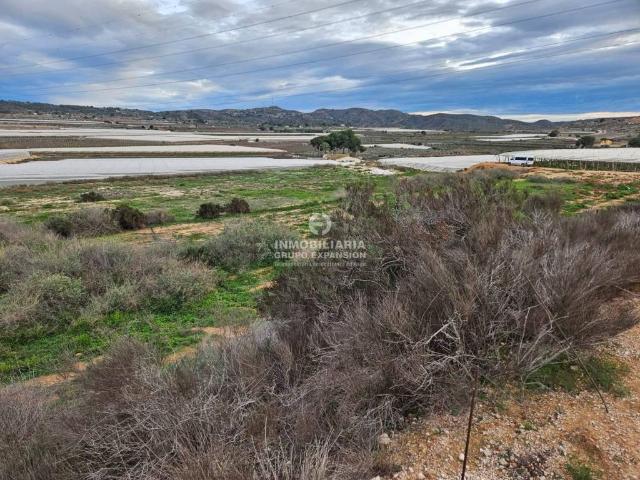 Terreno en Venta en Monforte del Cid