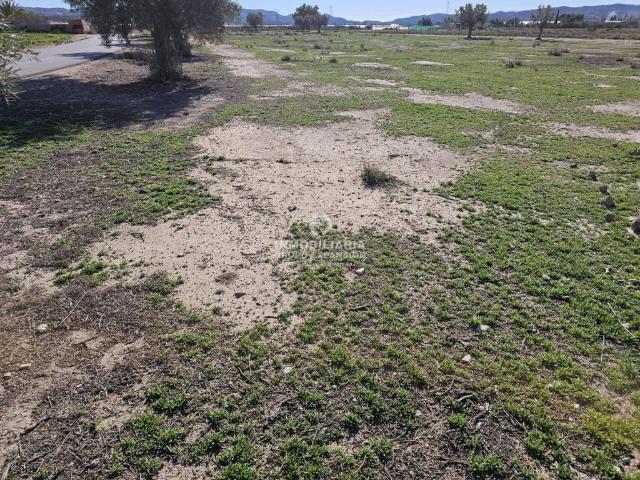 Terreno en Venta en Monforte del Cid