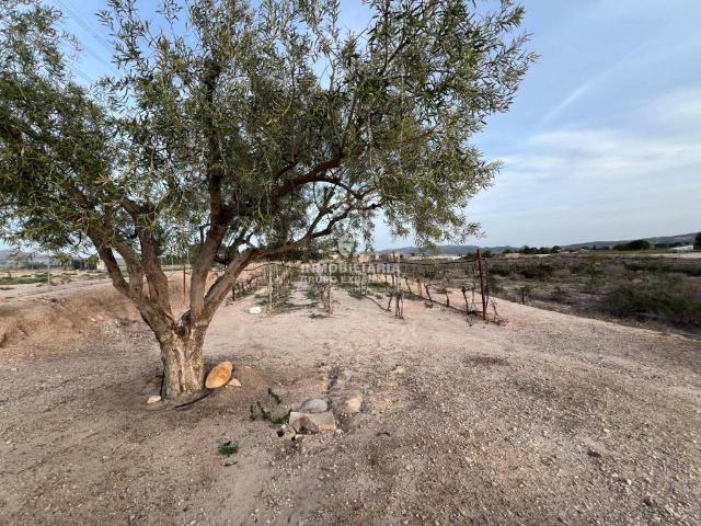 Terreno en Venta en Monforte del Cid