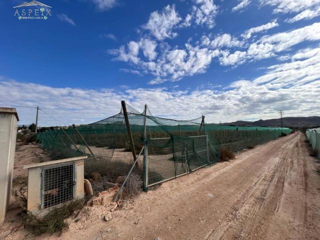 Terreno en Venta en Monforte del Cid
