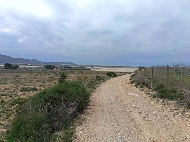 Terreno en Venta en Monforte del Cid