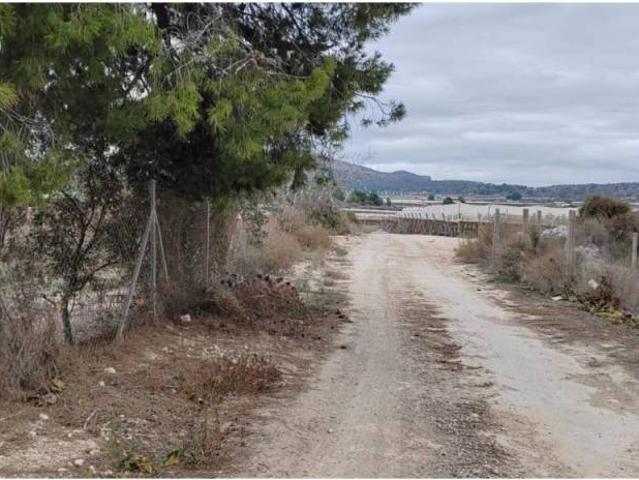 Terreno en Venta en Monforte del Cid