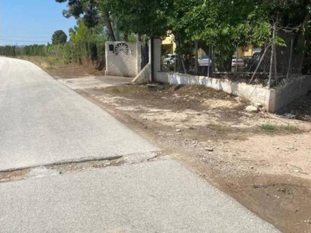 Terreno en Venta en Monforte del Cid