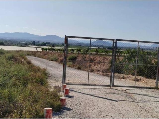Terreno en Venta en Monforte del Cid