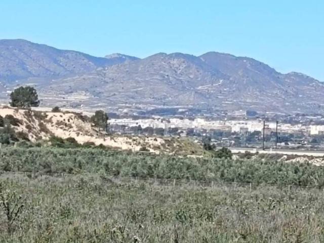 Terreno en Venta en Monforte del Cid