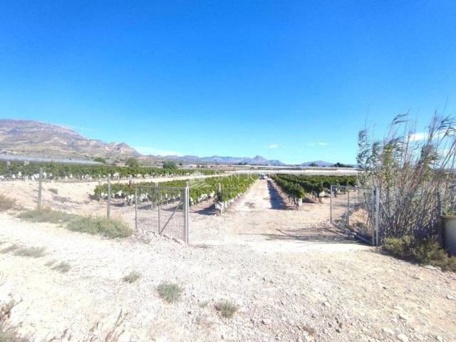 Terreno en Venta en Monforte del Cid