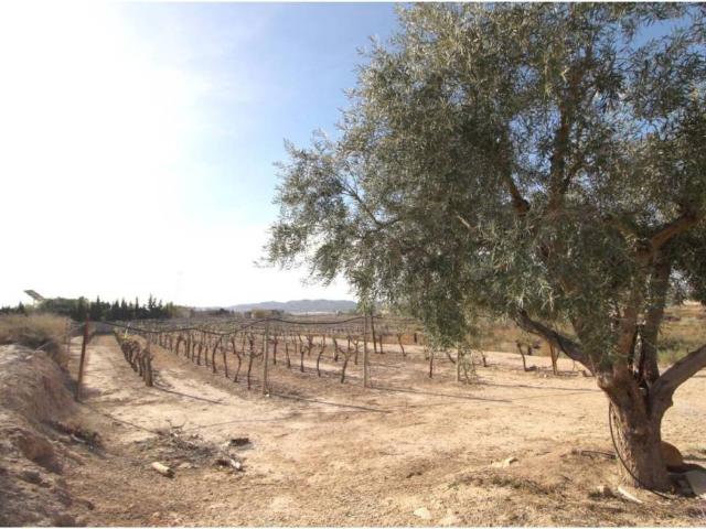 Terreno en Venta en Monforte del Cid