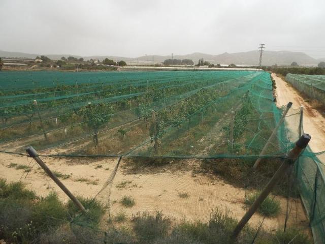 Terreno en venta en Monforte del Cid