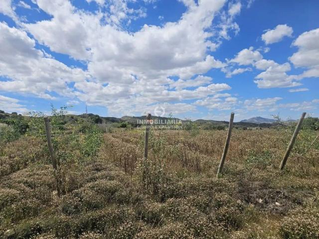 Terreno en Venta en Monforte del Cid