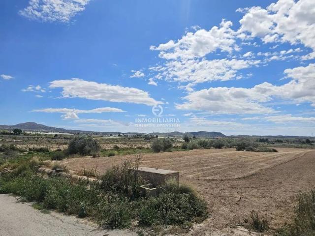 Terreno en Venta en Monforte del Cid