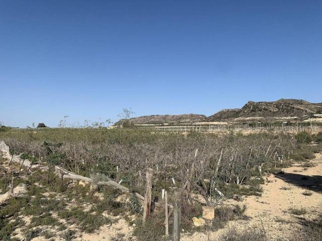 Terreno en Venta en Monforte del Cid