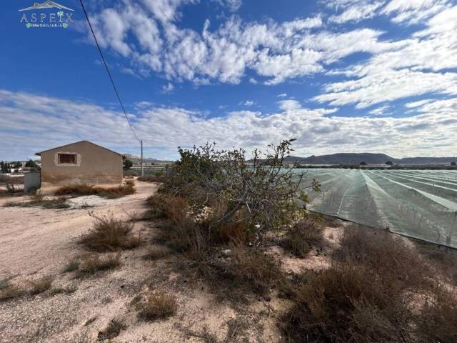 Terreno en Venta en Monforte del Cid