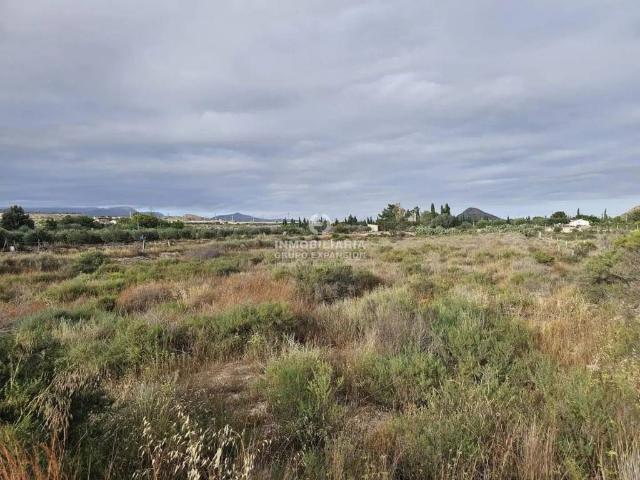 Terreno en Venta en Monforte del Cid