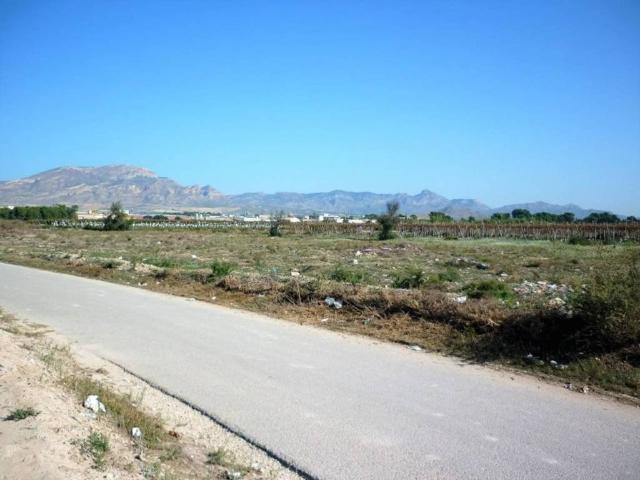 Terreno en Venta en Monforte del Cid
