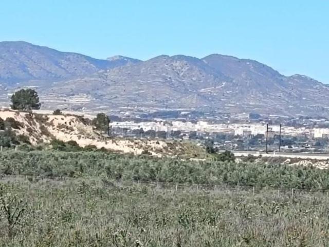 Terreno en venta en Monforte del Cid, Comunidad valenciana