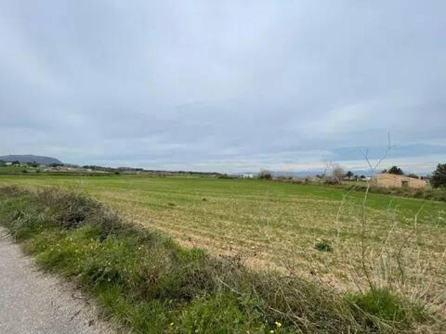 Terreno en Venta en Montuïri