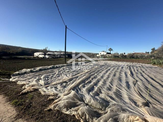 Terreno en venta en Monturque