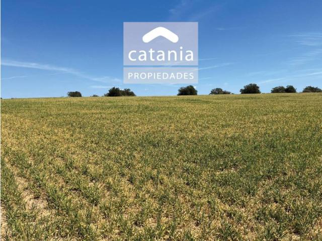 Terreno en Venta en Mont roig del Camp