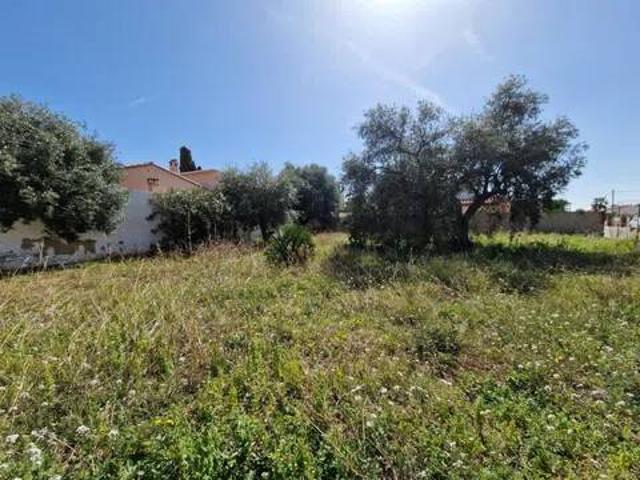 Terreno en Venta en Mont roig del Camp