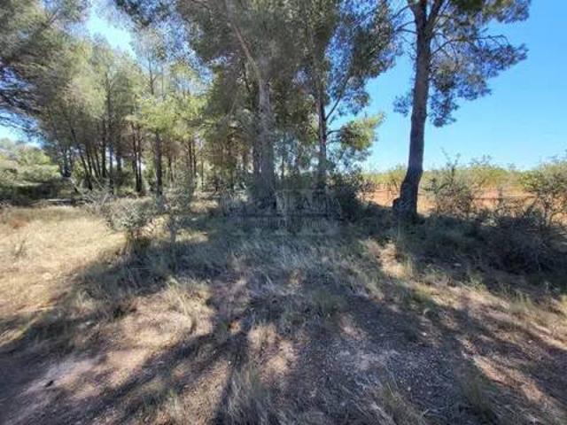 Terreno en Venta en Mont roig del Camp