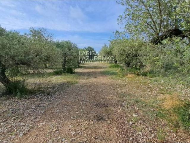 Terreno en Venta en Mont roig del Camp