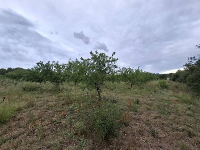 Terreno en Venta en Mont roig del Camp