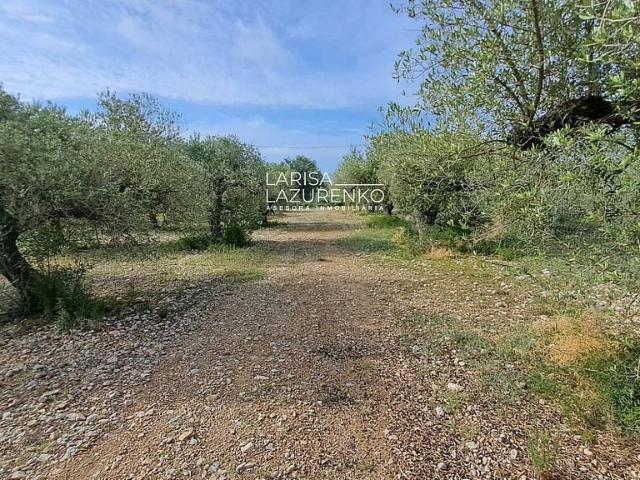 Terreno en venta en polígono, Mont Roig del Camp, de 7.594 m² por 65.000