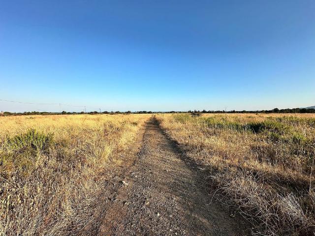 Terreno en venta en calle T, Mont Roig del Camp, de 180.000 m² por 380.000