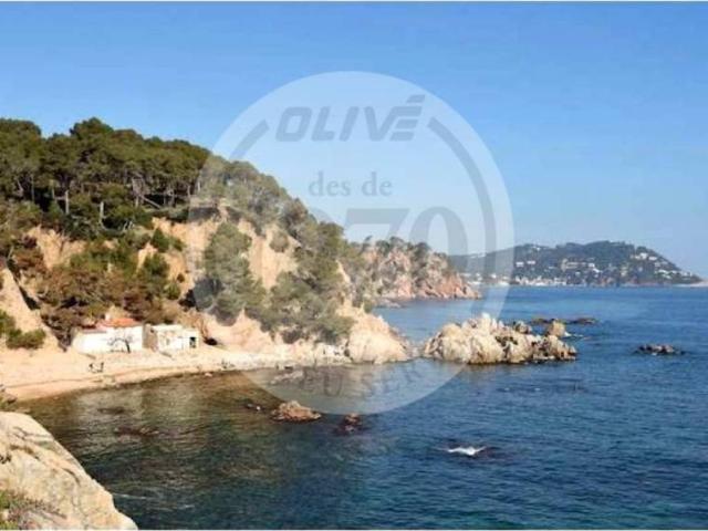 Terreno en Venta en Mont ras