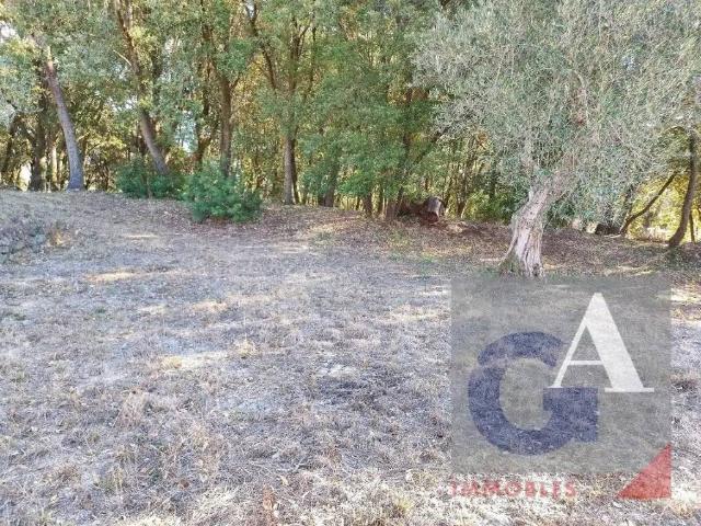 Terreno en Venta en Montagut