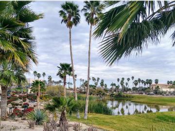 Terreno en venta en Montebello, Torreón, Coahuila de Zaragoza