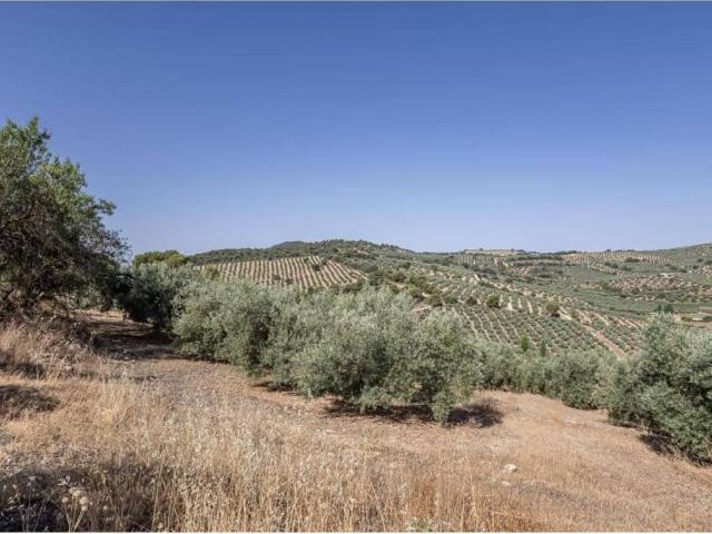 Terreno en Venta en Montefrío