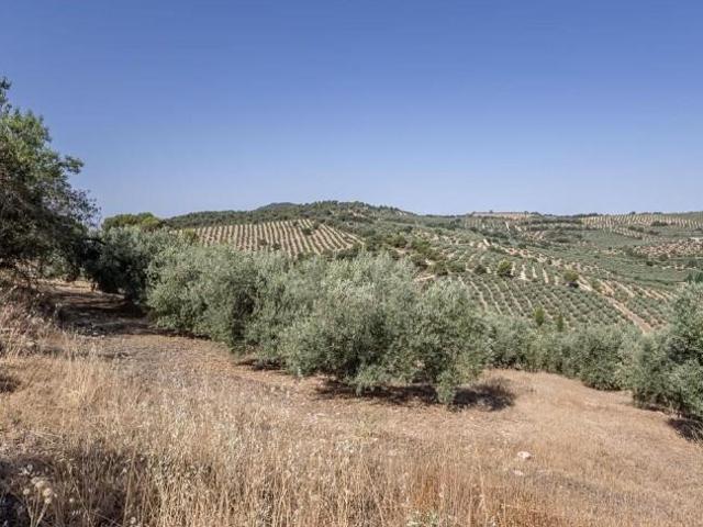 Terreno en venta en Montefrío, Montefrio