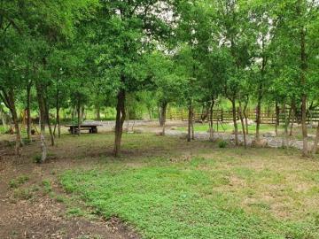 Terreno en Venta en Montemorelos