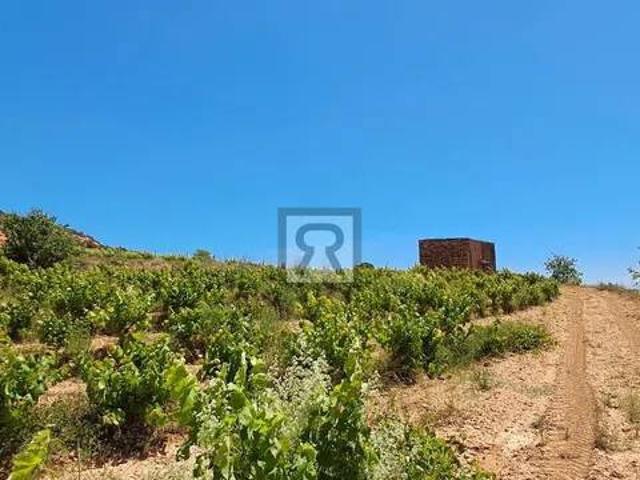 Terreno en Venta en Montferri