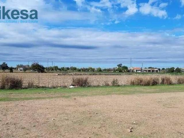 Terreno en Venta en Montijo