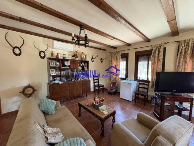 Terreno en Venta en Montoro