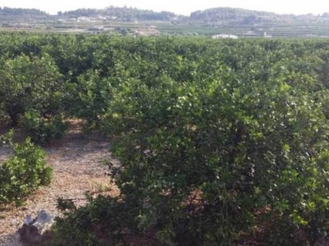 Terreno en Venta en Montroi Montroy