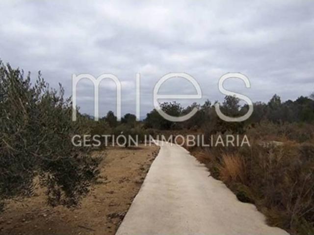 Terreno en Venta en Montserrat