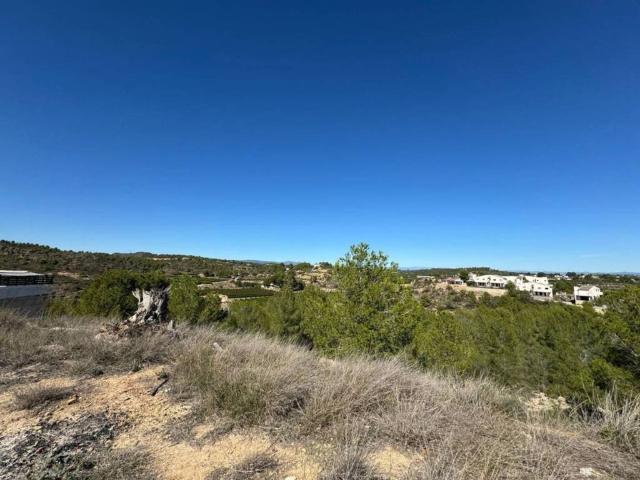 Terreno en Venta en Montserrat