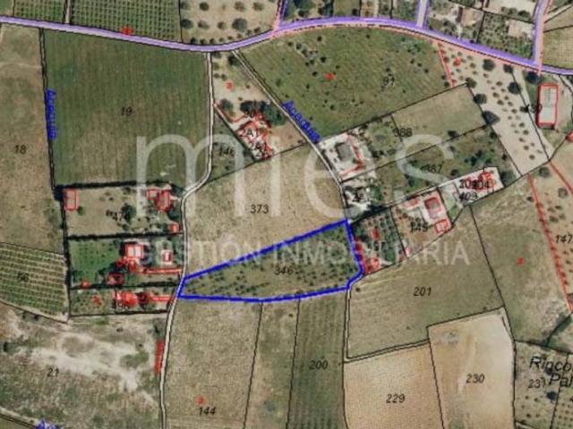 Terreno en Venta en Montserrat