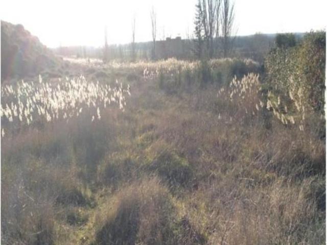 Terreno en venta en Monzón de Campos, Monzon De Campos
